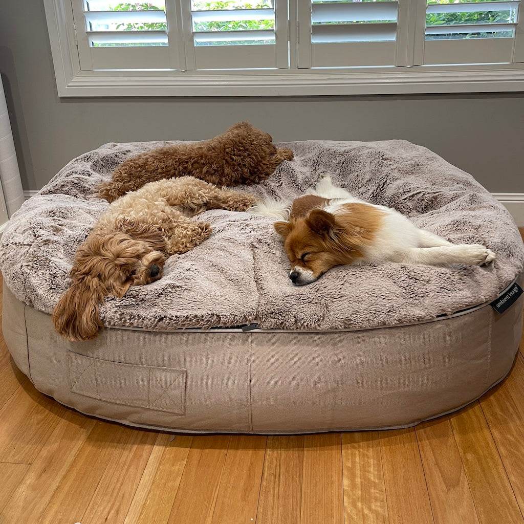 Cappuccino Dog Beds