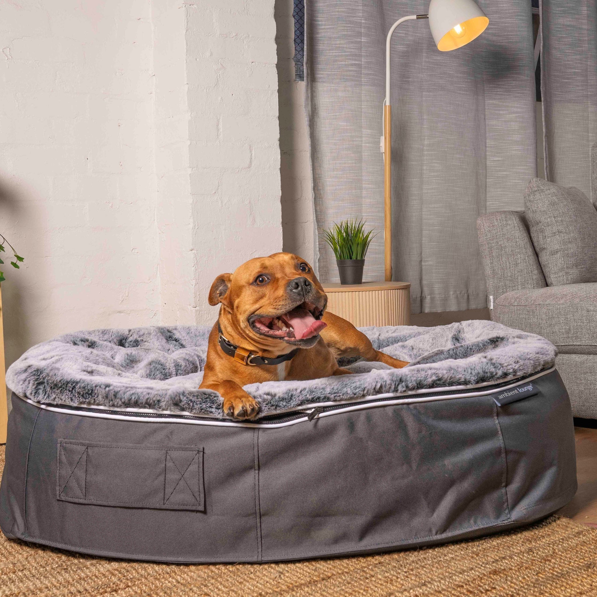 Dog Beds by Fabric