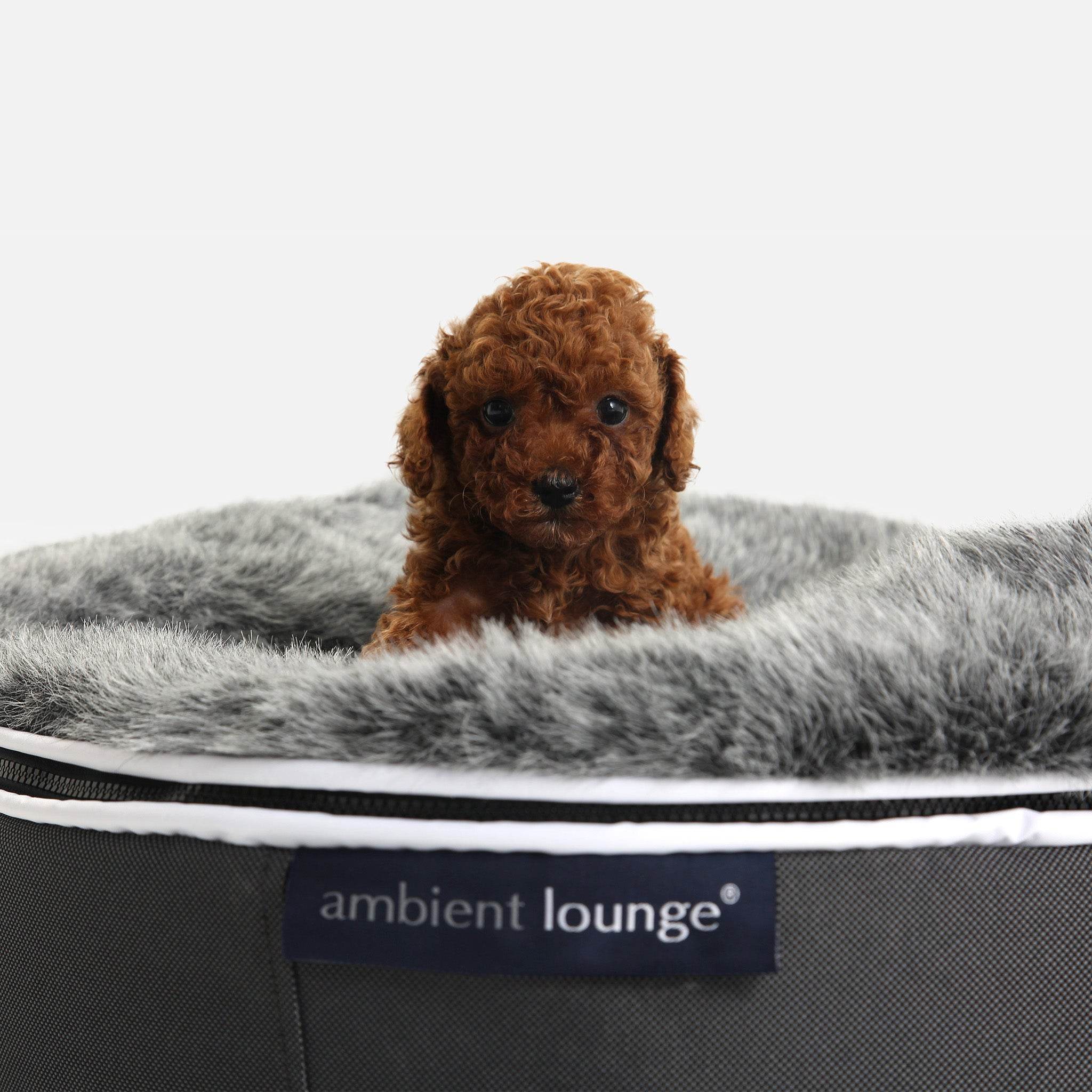 Original Dog Beds