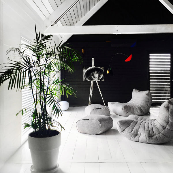 Akustiksofa - Innenausstattung