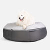 (L) Premium ThermoQuilt Dog Bed (Grey)