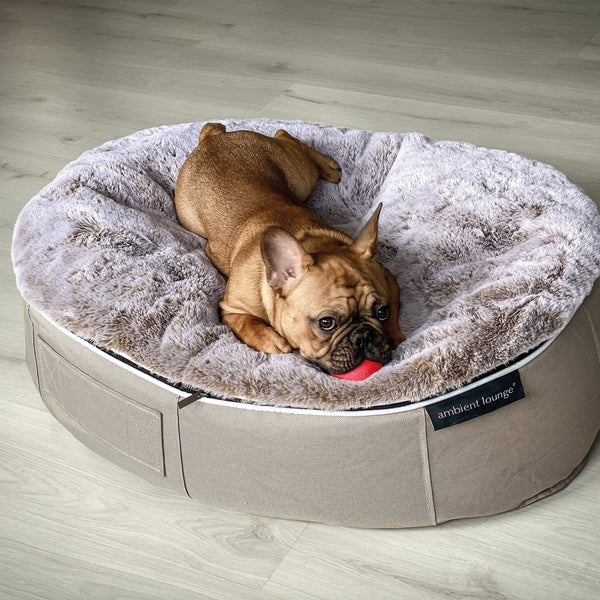 (M) Premium Indoor/Outdoor Dog Bed (Cappuccino)