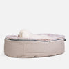 (M) Premium Indoor/Outdoor Dog Bed (Cappuccino)