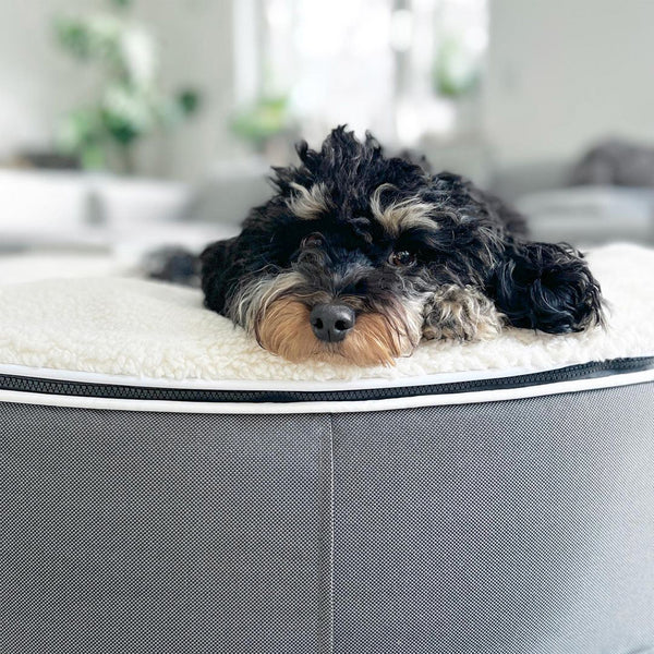 Medium Luxury Dog Bed - Interior/Outdoor