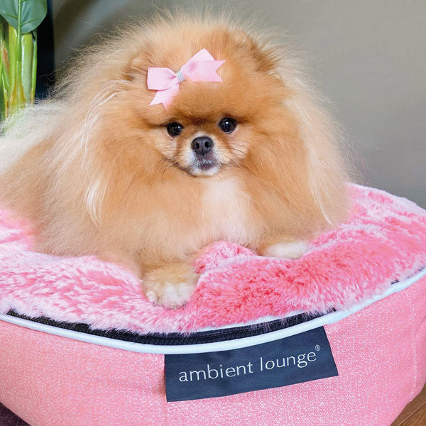 (S) Premium Indoor/Outdoor Dog Bed (Ballerina Pink - ltd. edition)