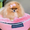 (S) Premium Indoor/Outdoor Dog Bed (Ballerina Pink - ltd. edition)