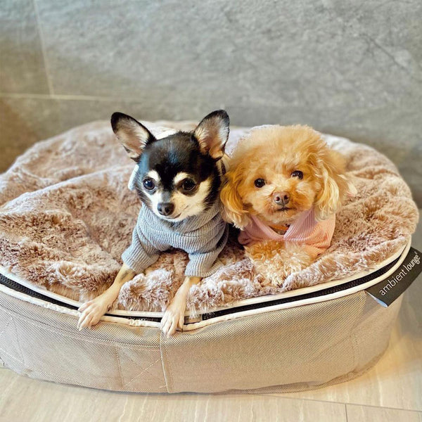 Small Luxury Dog Bed - Interior/Outdoor