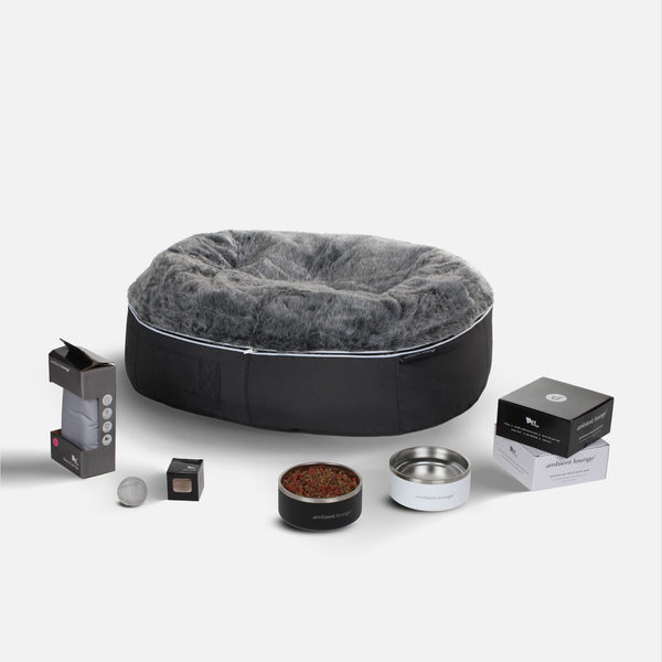 Großes Hunde-Basics-Paket