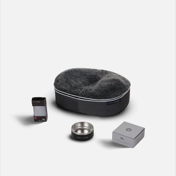 Kleinhunde-Basics-Set