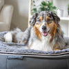 Large Rebound Foam Mattress Dog Bed - Interior/Outdoor
