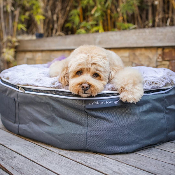 Cuccia per cani con materasso in schiuma a media resilienza - Per interni/esterni