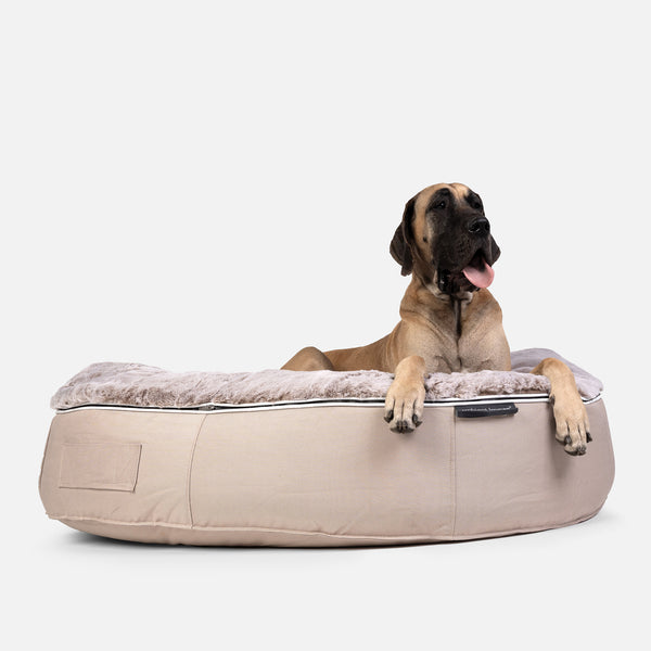 (XXL) Premium Indoor/Outdoor Dog Bed (Cappuccino)